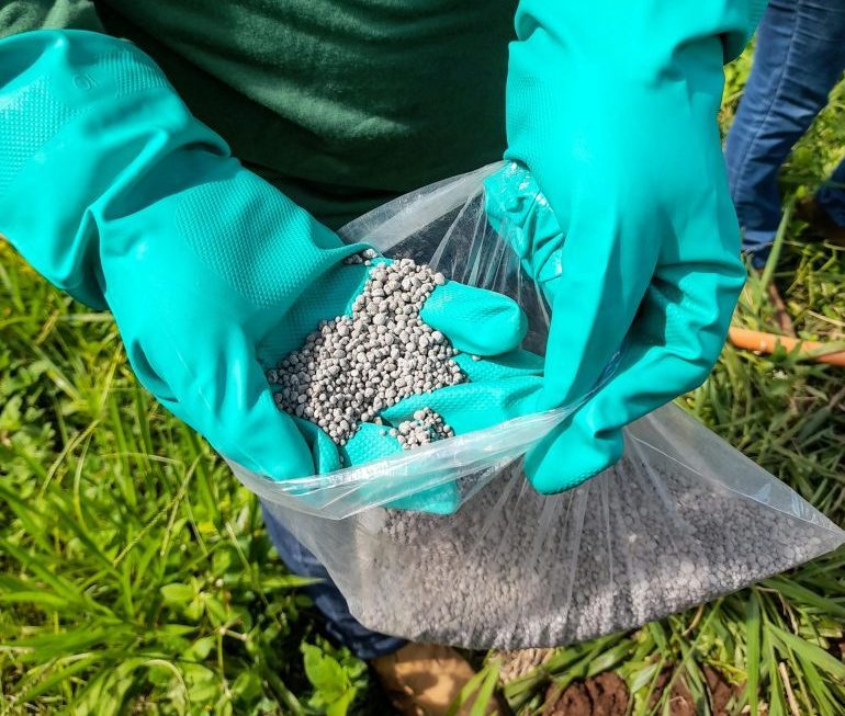 Person Hands in Gloves Holding Bag with Soil