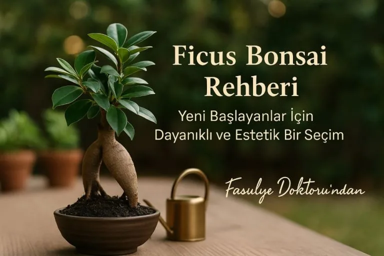 Ficus Bonsai Bakımı: Yeni Başlayanlar İçin Dayanıklı ve Kolay Tür
